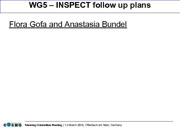 WG 5 – INSPECT follow up plans Flora Gofa and Anastasia Bundel Steering Committee