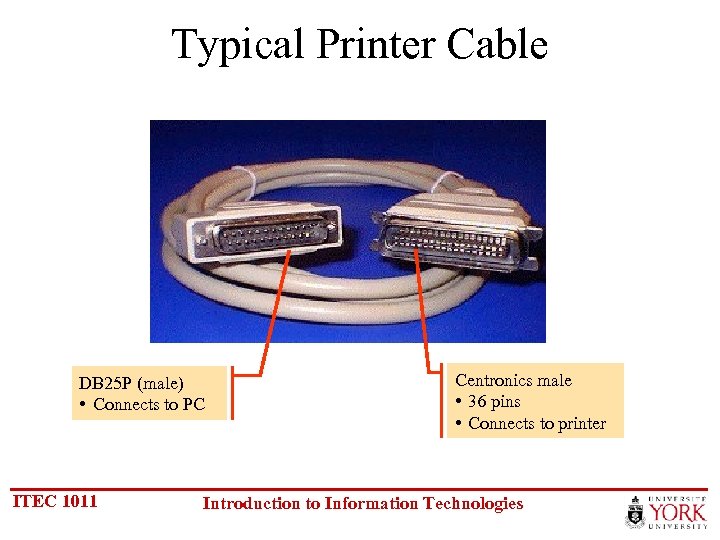 Typical Printer Cable DB 25 P (male) • Connects to PC ITEC 1011 Centronics