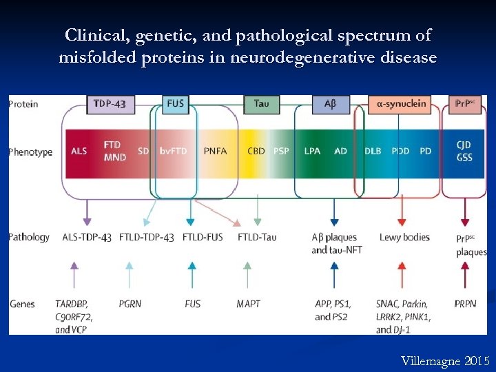 Clinical, genetic, and pathological spectrum of misfolded proteins in neurodegenerative disease Villemagne 2015 