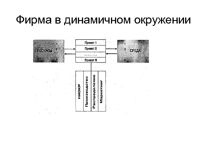 Фирма в динамичном окружении 