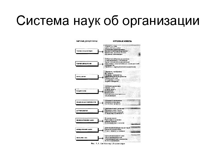 Система наук об организации 