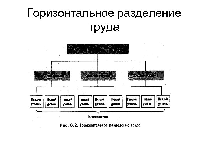 Горизонтальное разделение труда