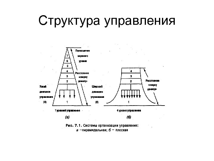 Структура управления 