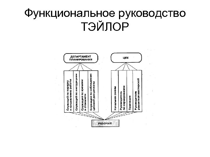 Функциональное руководство ТЭЙЛОР 