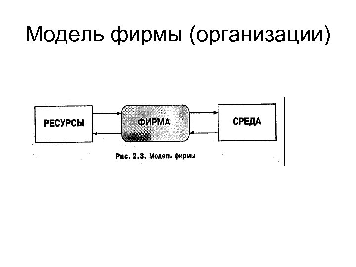 Модель фирмы (организации) 