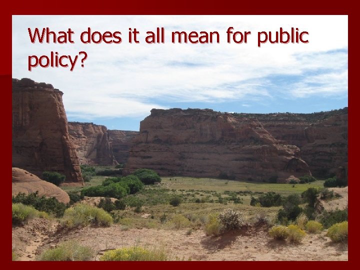 What does it all mean for public policy? 