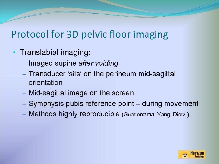 Protocol for 3 D pelvic floor imaging • Translabial imaging: – Imaged supine after