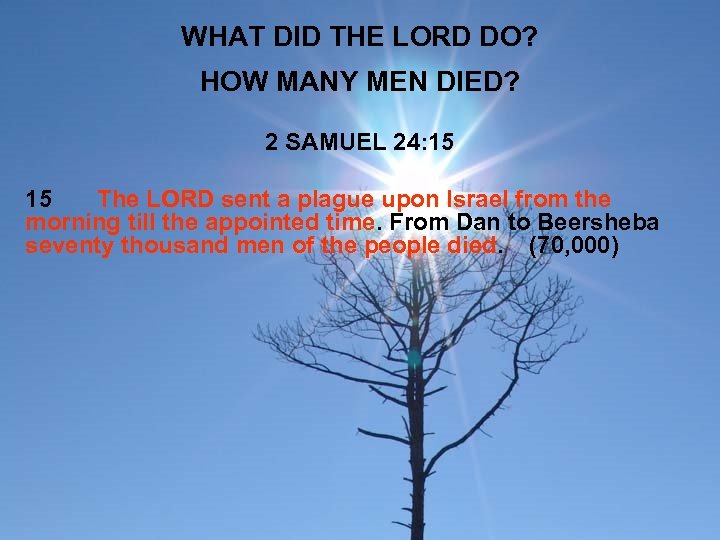 WHAT DID THE LORD DO? HOW MANY MEN DIED? 2 SAMUEL 24: 15 15