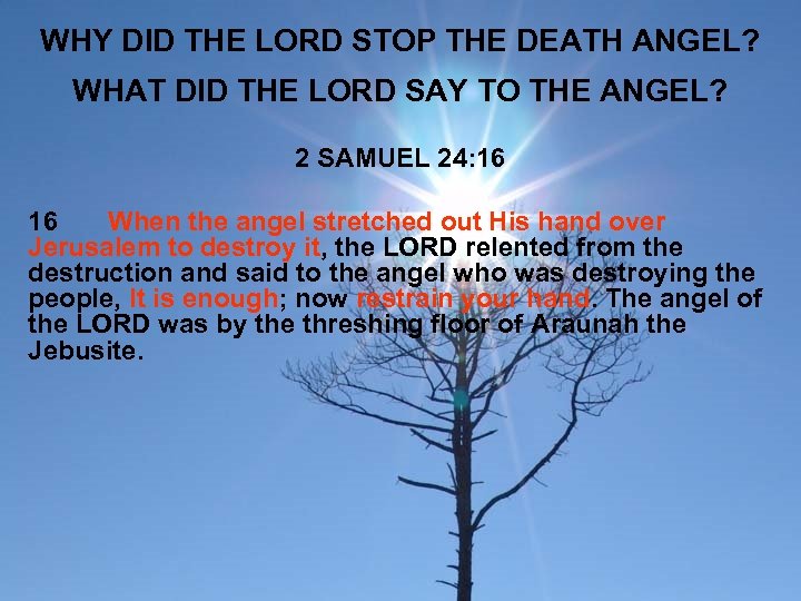 WHY DID THE LORD STOP THE DEATH ANGEL? WHAT DID THE LORD SAY TO