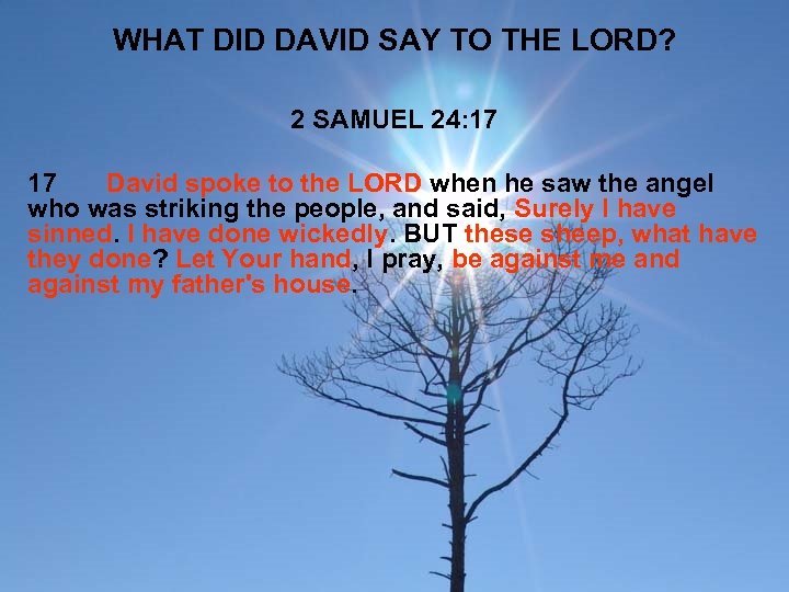 WHAT DID DAVID SAY TO THE LORD? 2 SAMUEL 24: 17 17 David spoke