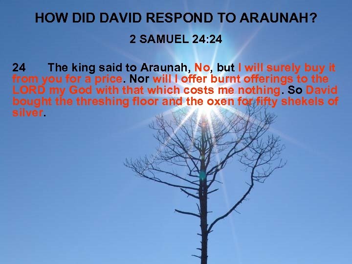 HOW DID DAVID RESPOND TO ARAUNAH? 2 SAMUEL 24: 24 24 The king said