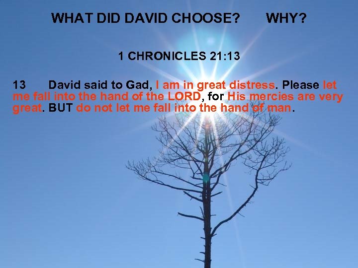 WHAT DID DAVID CHOOSE? WHY? 1 CHRONICLES 21: 13 13 David said to Gad,