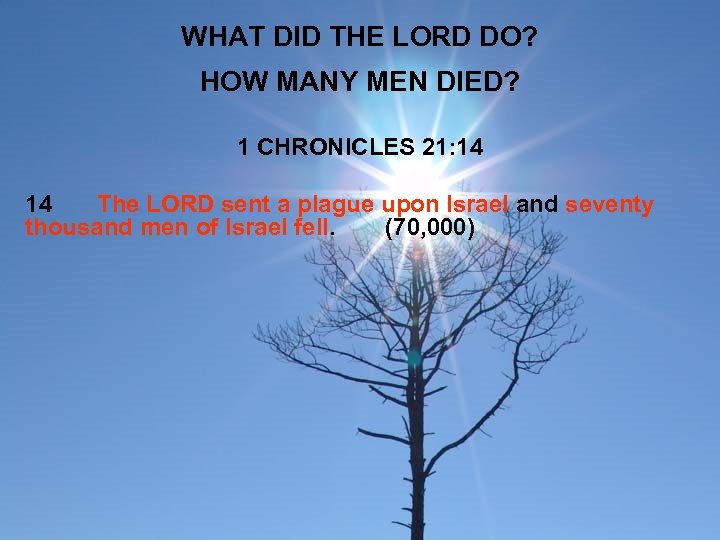 WHAT DID THE LORD DO? HOW MANY MEN DIED? 1 CHRONICLES 21: 14 14