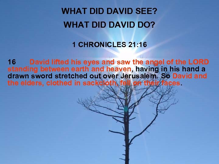 WHAT DID DAVID SEE? WHAT DID DAVID DO? 1 CHRONICLES 21: 16 16 David