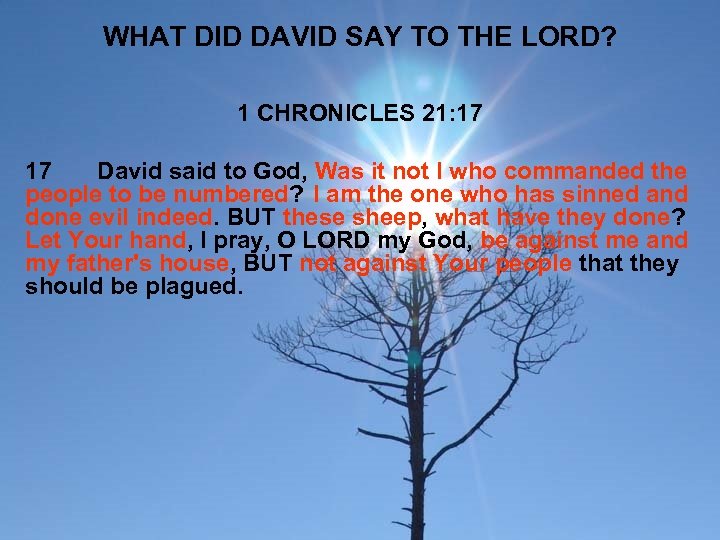 WHAT DID DAVID SAY TO THE LORD? 1 CHRONICLES 21: 17 17 David said