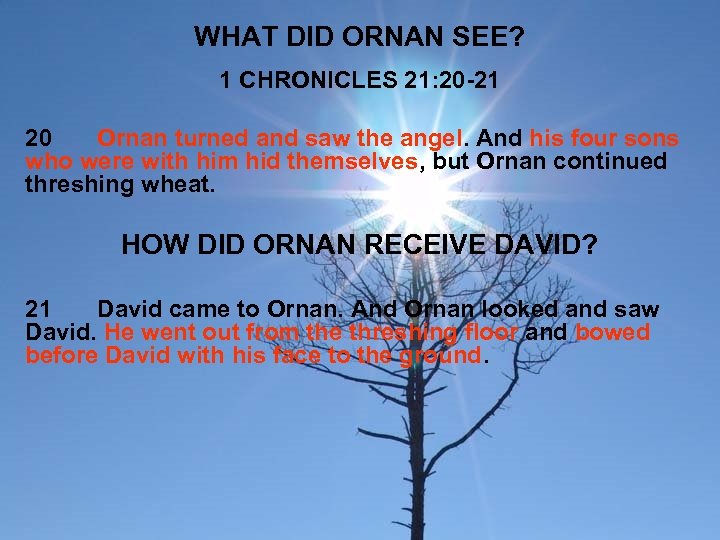 WHAT DID ORNAN SEE? 1 CHRONICLES 21: 20 -21 20 Ornan turned and saw