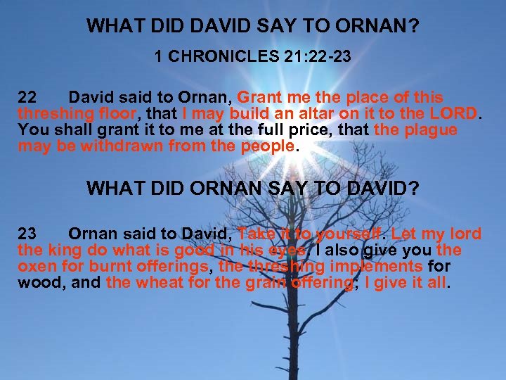 WHAT DID DAVID SAY TO ORNAN? 1 CHRONICLES 21: 22 -23 22 David said