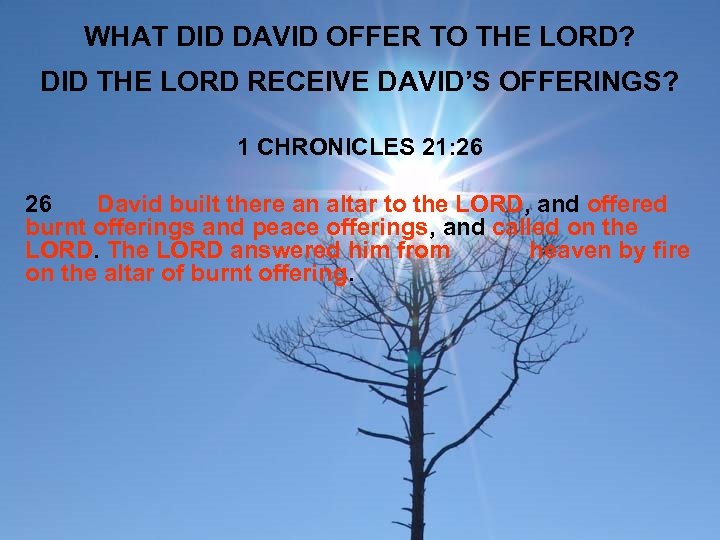 WHAT DID DAVID OFFER TO THE LORD? DID THE LORD RECEIVE DAVID’S OFFERINGS? 1