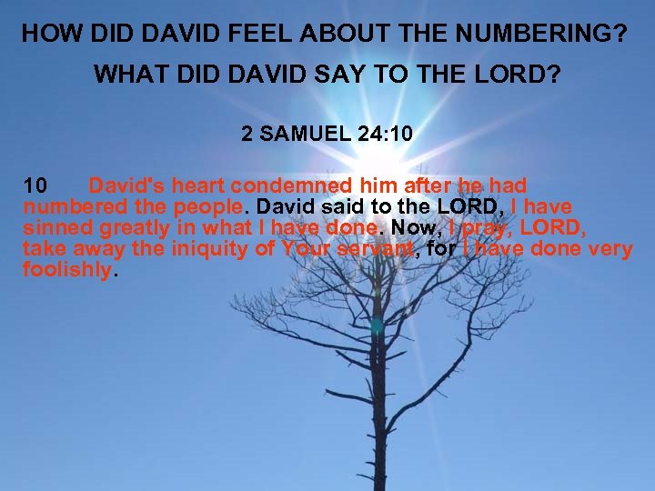 HOW DID DAVID FEEL ABOUT THE NUMBERING? WHAT DID DAVID SAY TO THE LORD?