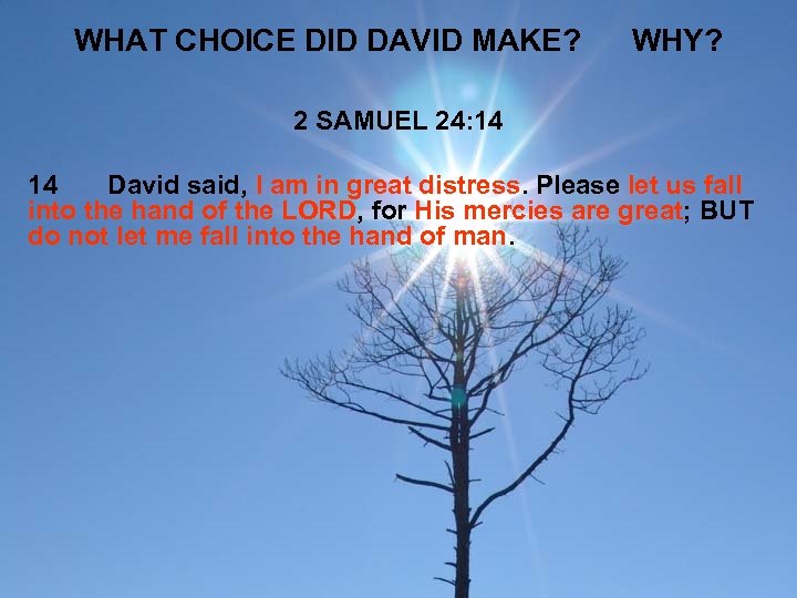 WHAT CHOICE DID DAVID MAKE? WHY? 2 SAMUEL 24: 14 14 David said, I