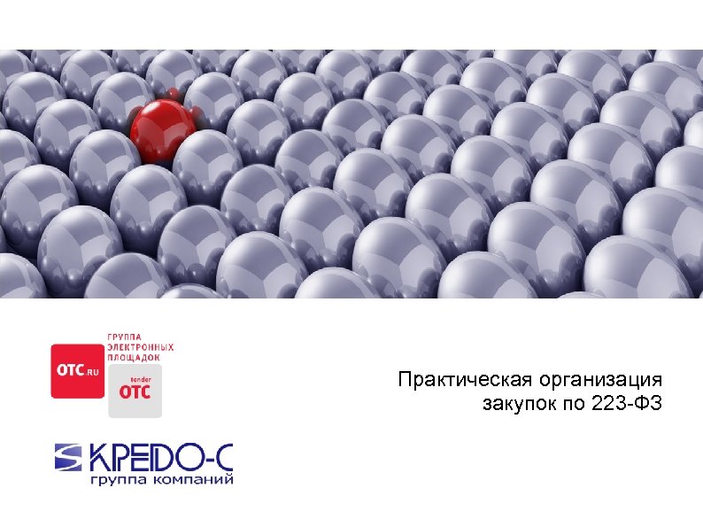  Практическая организация закупок по 223 -ФЗ 