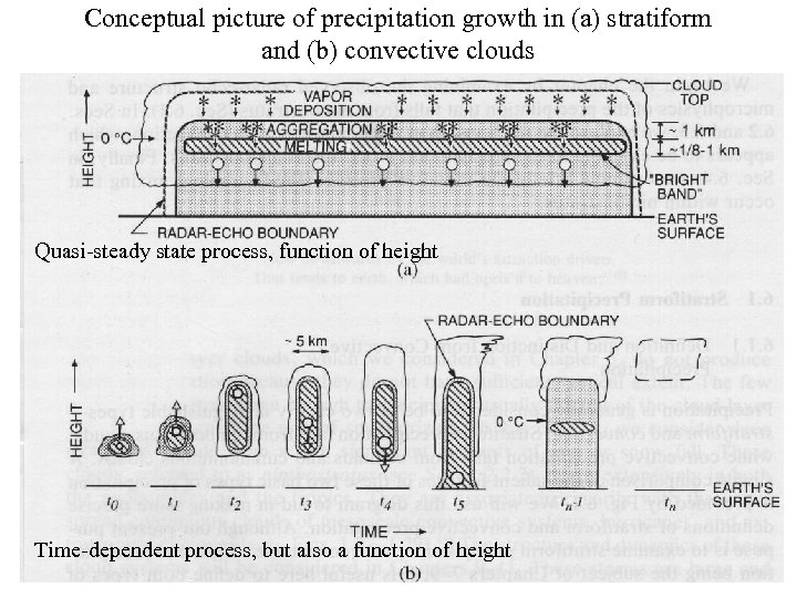 Conceptual picture of precipitation growth in (a) stratiform and (b) convective clouds Quasi-steady state