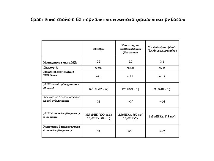 Сравнение свойств бактериальных и митохондриальных рибосом Бактерии Митохондрии млекопитающих (Bos taurus) Митохондрии протист (Leishmania