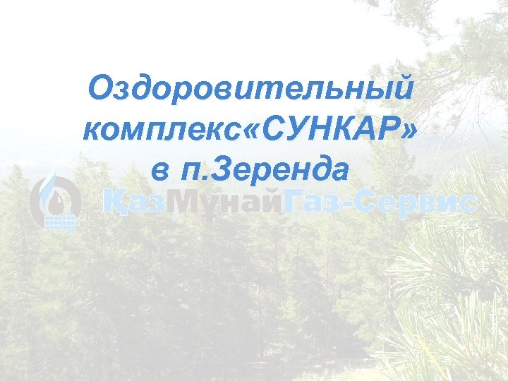 Оздоровительный комплекс «СУНКАР» в п. Зеренда 