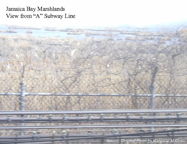 Jamaica Bay Marshlands View from “A” Subway Line Source: Original Photo by Marquise Mc.