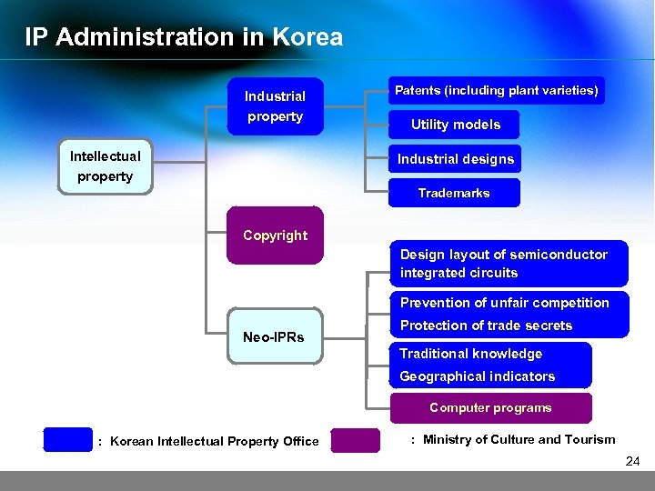 IP Administration in Korea Industrial property Intellectual property Patents (including plant varieties) Utility models