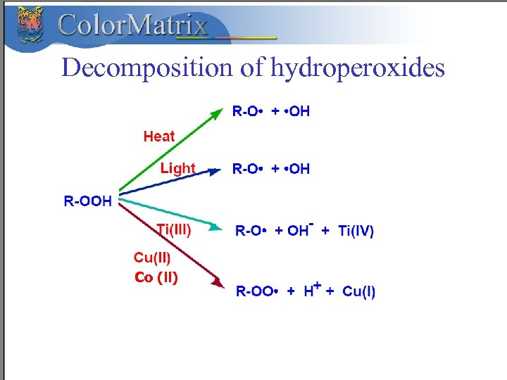Decomposition of hydroperoxides Co (ll) 