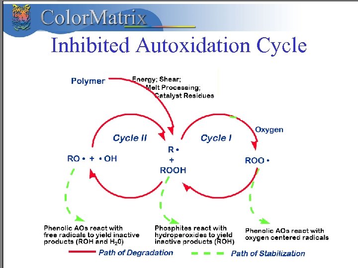 Inhibited Autoxidation Cycle 