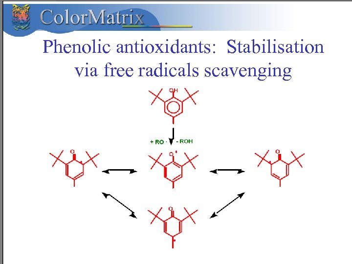 Phenolic antioxidants: Stabilisation via free radicals scavenging 