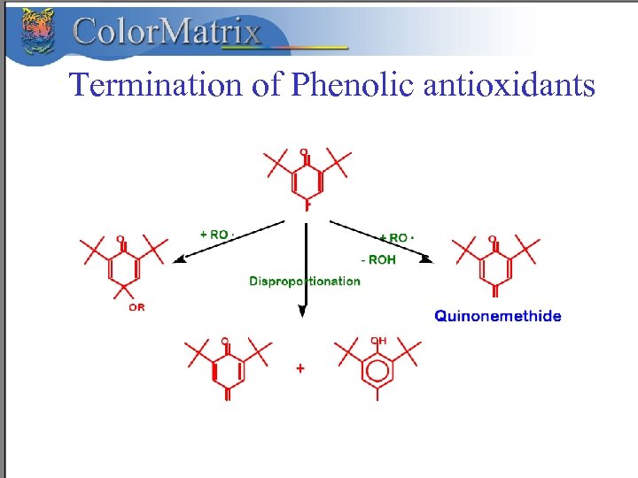 Termination of Phenolic antioxidants 