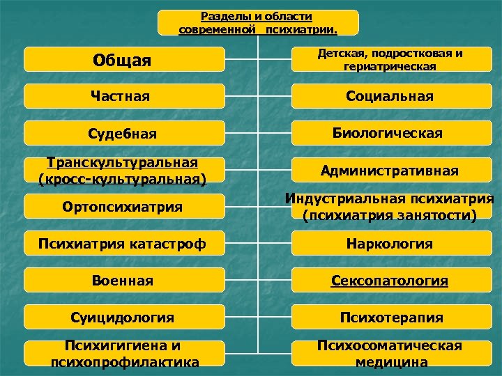 Разделы и области современной психиатрии. Общая Детская, подростковая и гериатрическая Частная Социальная Судебная Биологическая