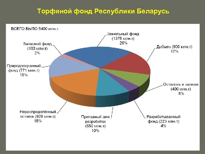 Фонды беларуси. Природные ресурсы РБ. Природно-ресурсный потенциал Белоруссии. Запасы природных ресурсов Белоруссии. Ресурсы страны Белоруссия.