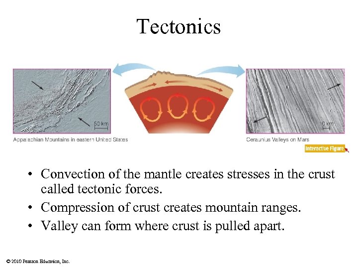 Tectonics • Convection of the mantle creates stresses in the crust called tectonic forces.