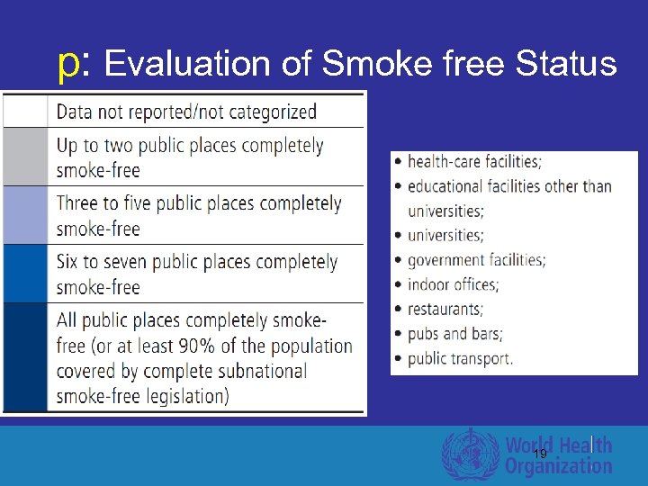 p: Evaluation of Smoke free Status 19 