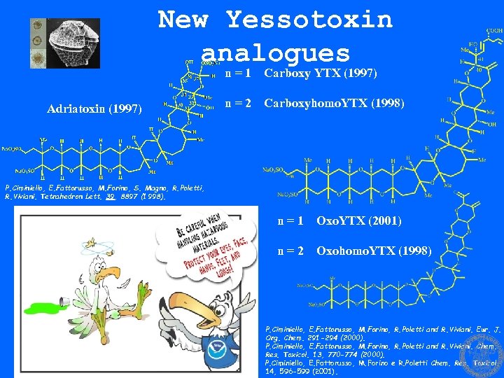 New Yessotoxin analogues n=1 Adriatoxin (1997) Carboxy YTX (1997) n=2 Carboxyhomo. YTX (1998) P.