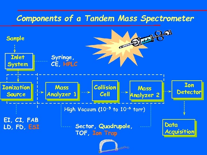 Components of a Tandem Mass Spectrometer Sanple Inlet System Ionization Source Syringe, CE, HPLC