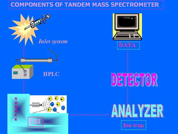 COMPONENTS OF TANDEM MASS SPECTROMETER Inlet system DATA HPLC S O U R C