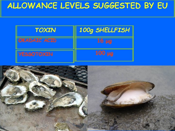 ALLOWANCE LEVELS SUGGESTED BY EU TOXIN OKADAIC ACID YESSOTOXIN 100 g SHELLFISH 16 mg