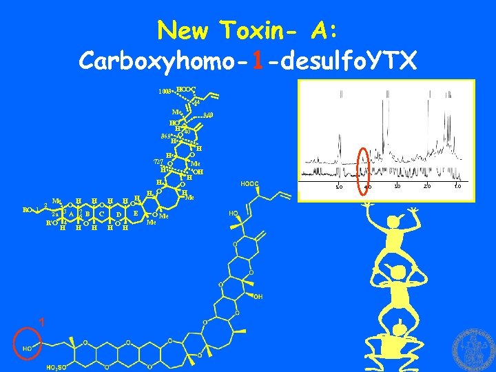 New Toxin- A: Carboxyhomo-1 -desulfo. YTX 1008 HOOC 44 Me 940 HO H 40