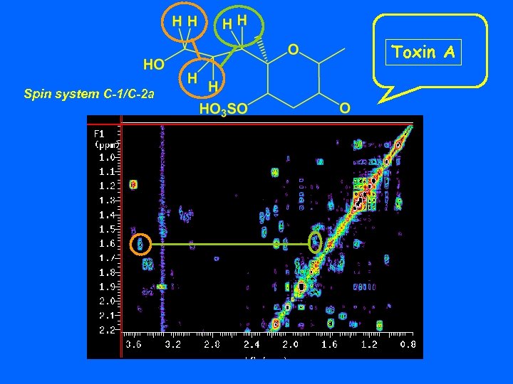 Toxin A Spin system C-1/C-2 a 