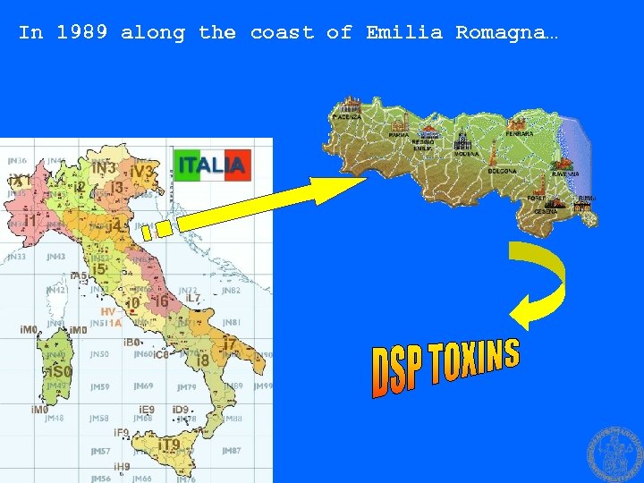 In 1989 along the coast of Emilia Romagna… 