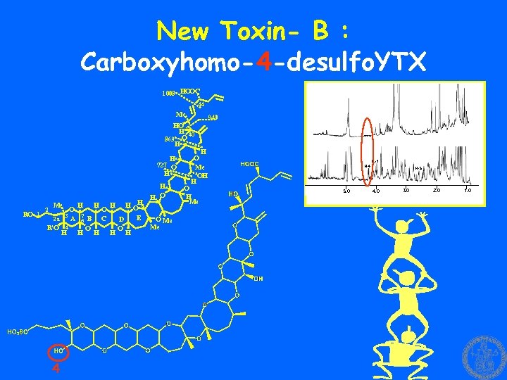 New Toxin- B : Carboxyhomo-4 -desulfo. YTX 1008 HOOC 44 Me 940 HO H
