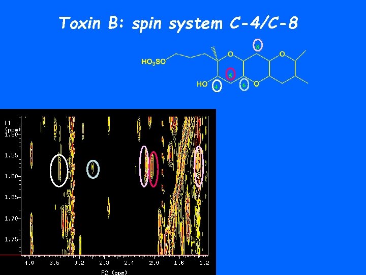 Toxin B: spin system C-4/C-8 