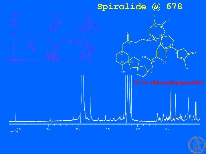 Spirolide @ 678 13, 19 -didesmethylspirolide. C 