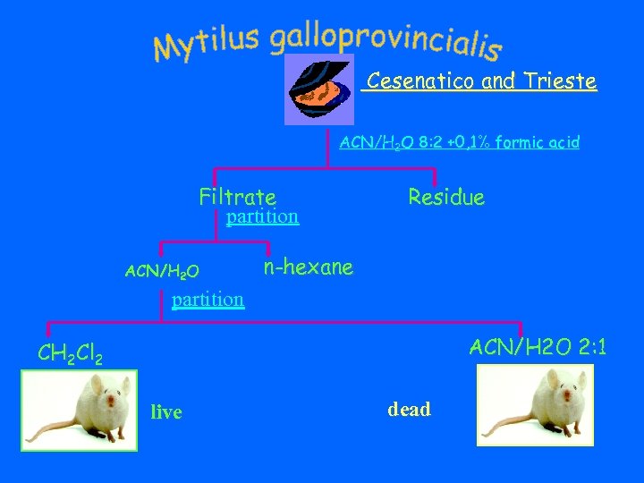 Cesenatico and Trieste ACN/H 2 O 8: 2 +0, 1% formic acid Filtrate partition