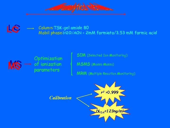 Column: TSK-gel amide 80 Mobil phase: H 2 O/ACN + 2 m. M formiato/3.